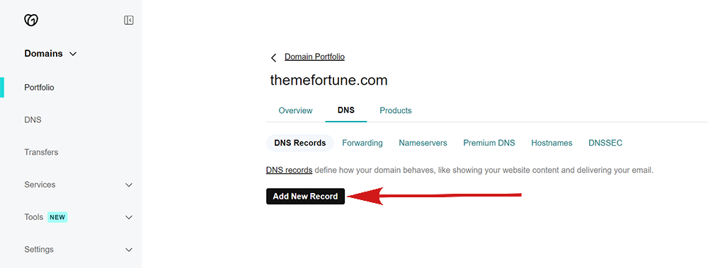 domain add new dns record